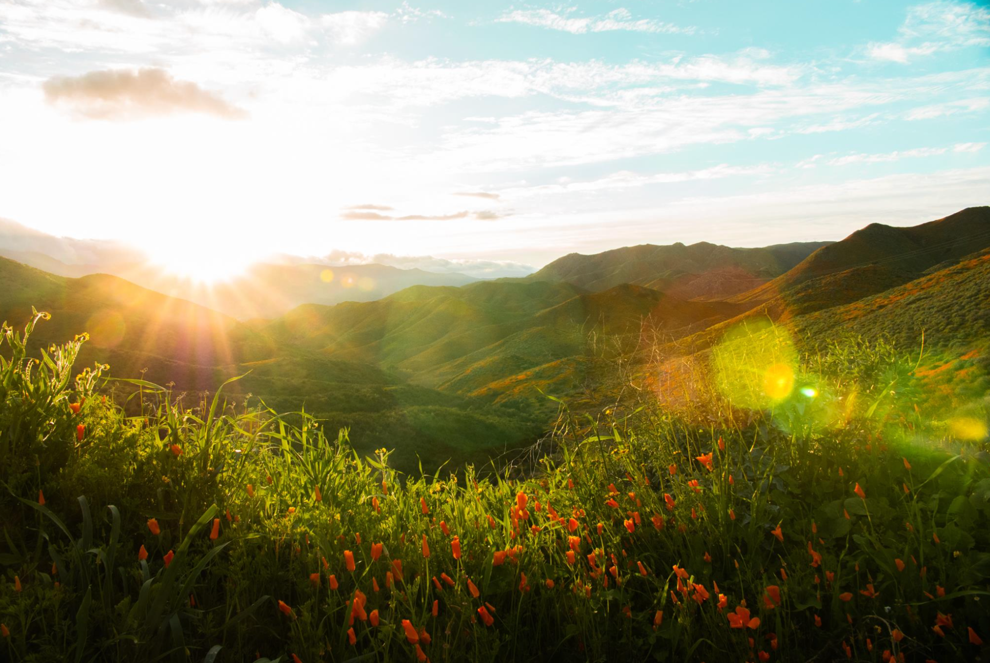 Transitions Optical launches new Light Sensitivity Test